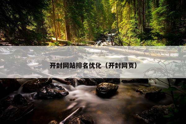 开封网站排名优化（开封网页）
