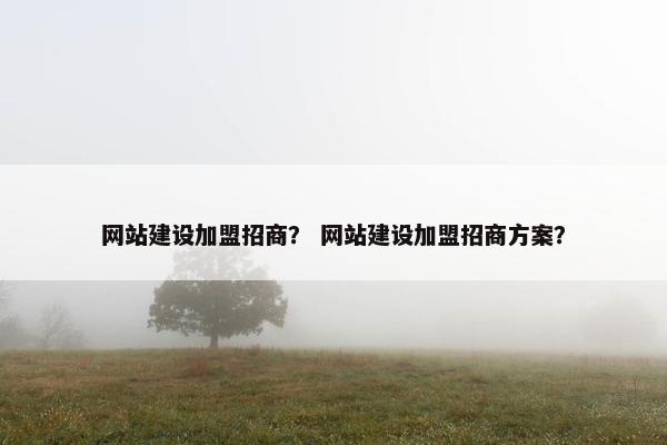 网站建设加盟招商？ 网站建设加盟招商方案？