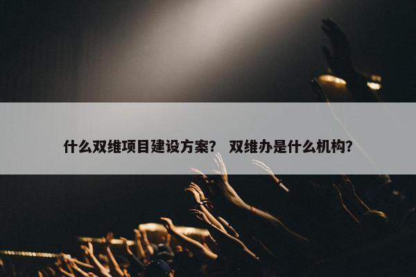 什么双维项目建设方案？ 双维办是什么机构？
