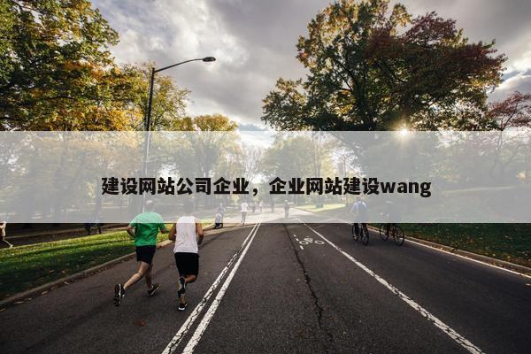 建设网站公司企业，企业网站建设wang