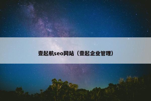壹起航seo网站（壹起企业管理）