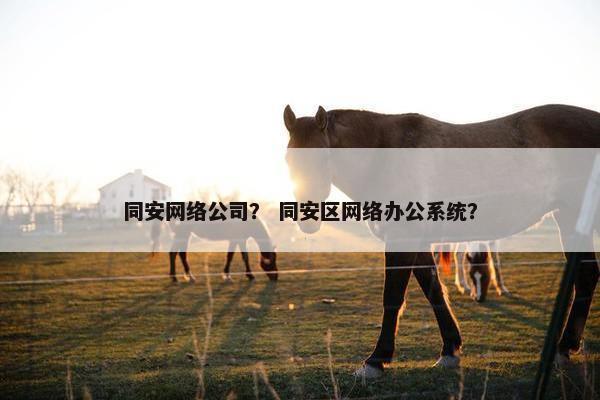 同安网络公司？ 同安区网络办公系统？