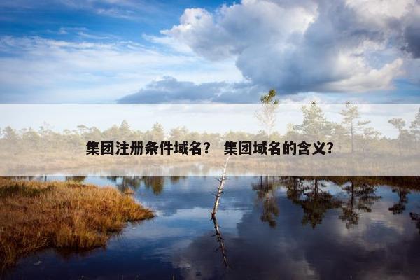 集团注册条件域名？ 集团域名的含义？