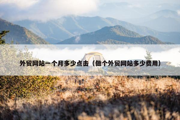 外贸网站一个月多少点击（做个外贸网站多少费用）