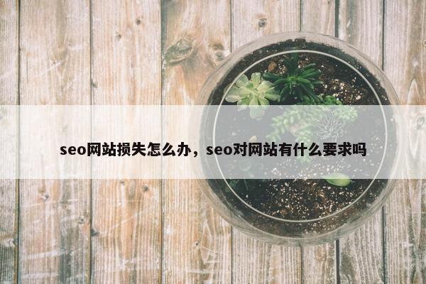 seo网站损失怎么办，seo对网站有什么要求吗
