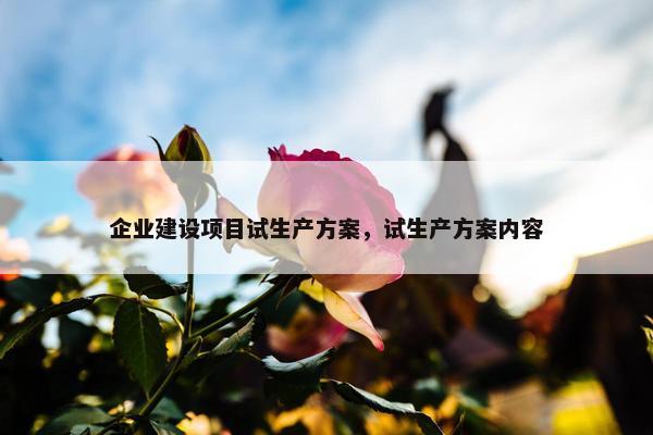 企业建设项目试生产方案，试生产方案内容