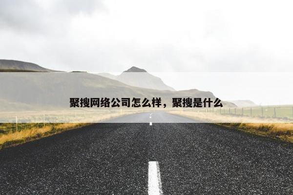 聚搜网络公司怎么样，聚搜是什么