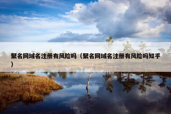 聚名网域名注册有风险吗（聚名网域名注册有风险吗知乎）