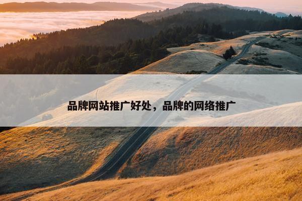 品牌网站推广好处，品牌的网络推广