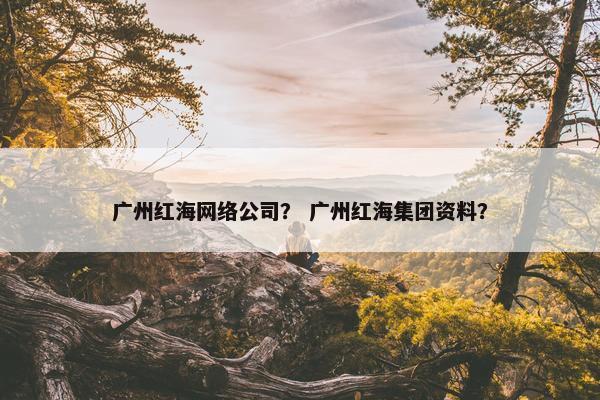 广州红海网络公司？ 广州红海集团资料？