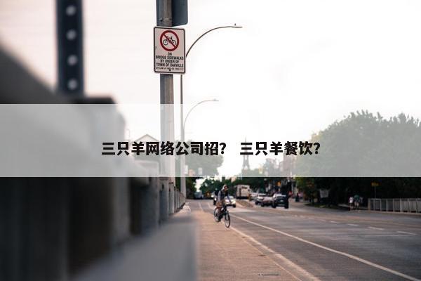 三只羊网络公司招？ 三只羊餐饮？
