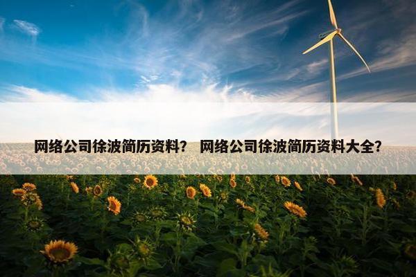 网络公司徐波简历资料？ 网络公司徐波简历资料大全？