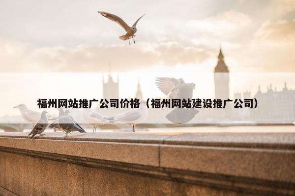 福州网站推广公司价格（福州网站建设推广公司）