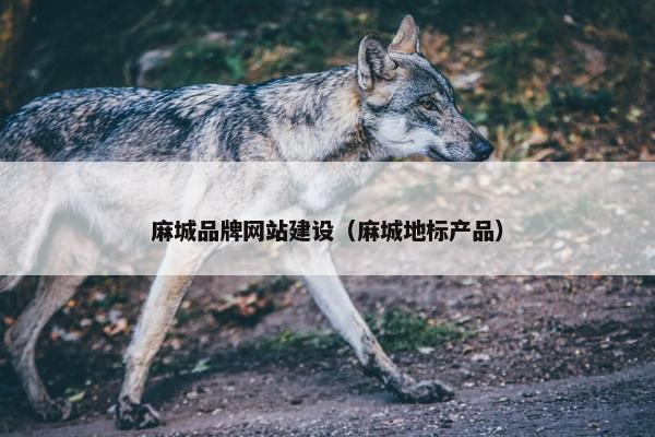 麻城品牌网站建设（麻城地标产品）