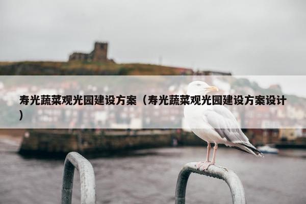 寿光蔬菜观光园建设方案（寿光蔬菜观光园建设方案设计）