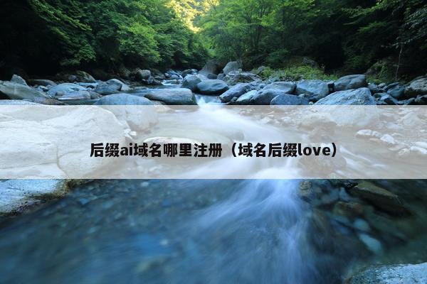 后缀ai域名哪里注册（域名后缀love）