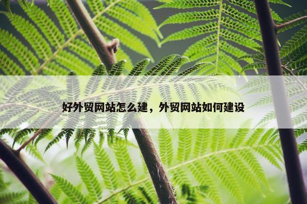 好外贸网站怎么建，外贸网站如何建设