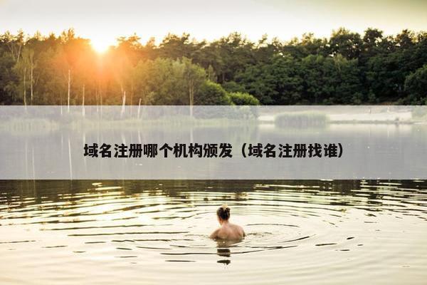 域名注册哪个机构颁发（域名注册找谁）