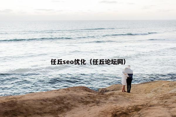 任丘seo优化（任丘论坛网）