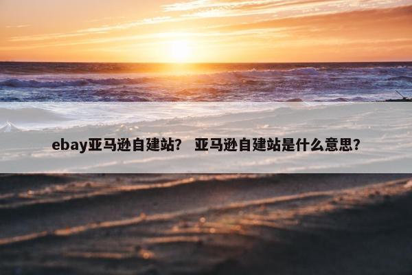 ebay亚马逊自建站？ 亚马逊自建站是什么意思？