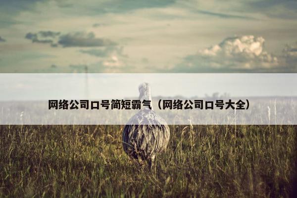 网络公司口号简短霸气（网络公司口号大全）
