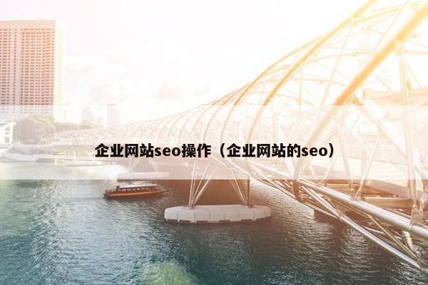 企业网站seo操作（企业网站的seo）