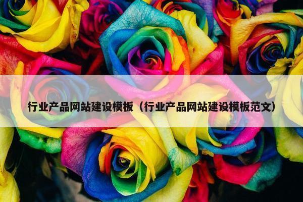 行业产品网站建设模板（行业产品网站建设模板范文）