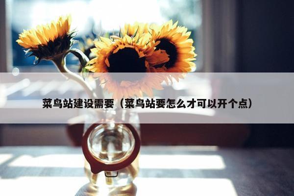 菜鸟站建设需要（菜鸟站要怎么才可以开个点）