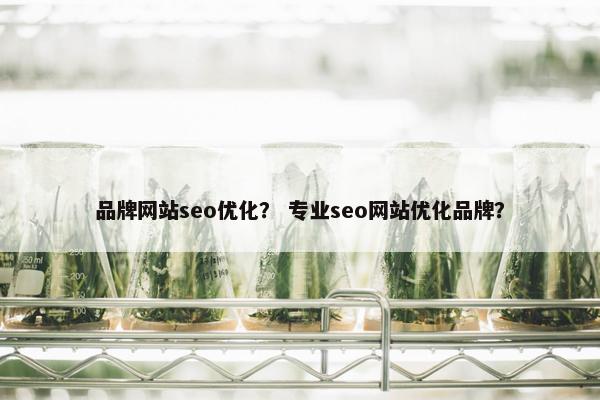 品牌网站seo优化？ 专业seo网站优化品牌？