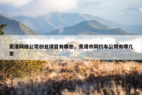 贵港网络公司创业项目有哪些，贵港市网约车公司有哪几家