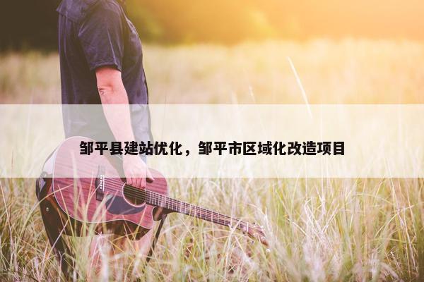 邹平县建站优化，邹平市区域化改造项目