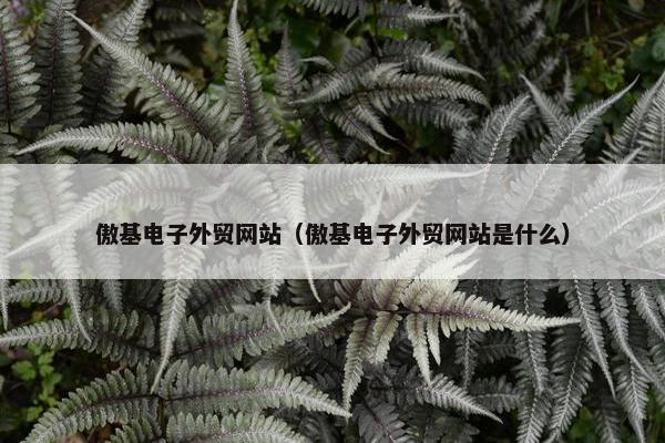 傲基电子外贸网站（傲基电子外贸网站是什么）