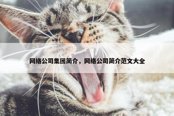 网络公司集团简介，网络公司简介范文大全