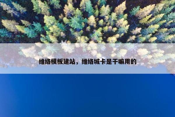维络模板建站，维络城卡是干嘛用的