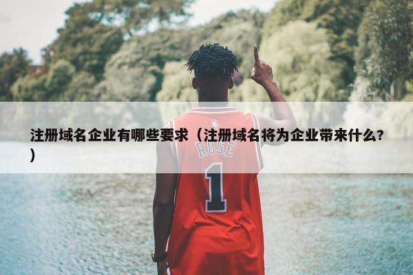 注册域名企业有哪些要求（注册域名将为企业带来什么?）