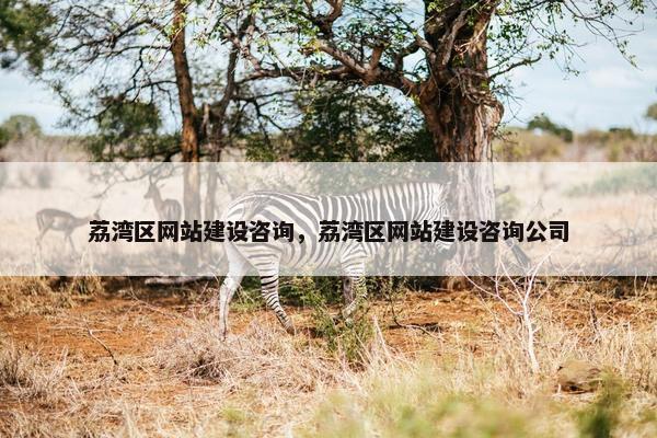 荔湾区网站建设咨询，荔湾区网站建设咨询公司
