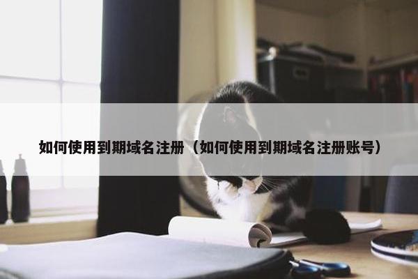 如何使用到期域名注册（如何使用到期域名注册账号）