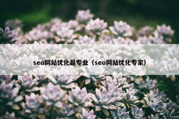 seo网站优化最专业（seo网站优化专家）