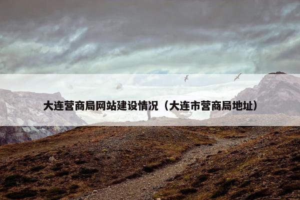 大连营商局网站建设情况（大连市营商局地址）