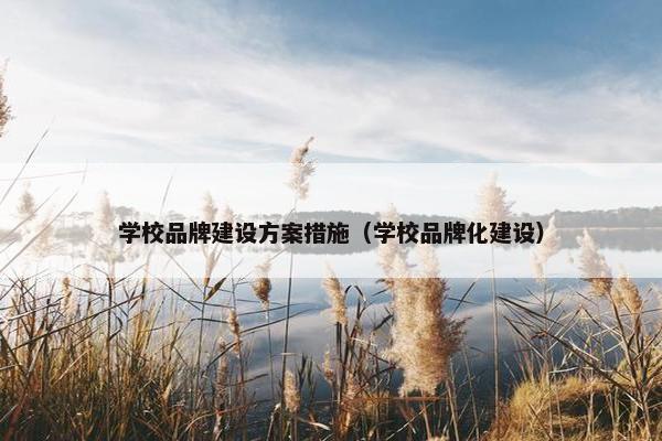 学校品牌建设方案措施（学校品牌化建设）