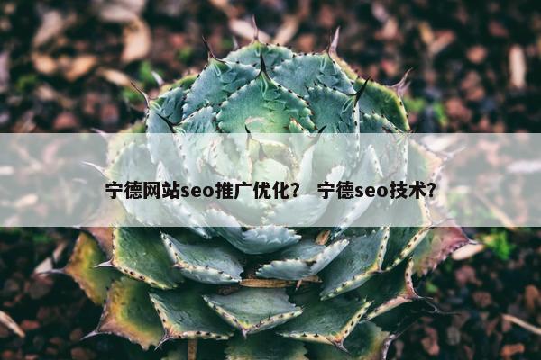 宁德网站seo推广优化？ 宁德seo技术？