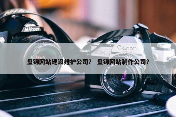 盘锦网站建设维护公司？ 盘锦网站制作公司？