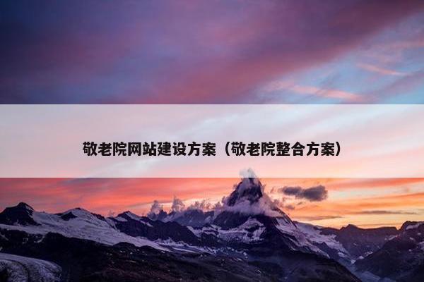 敬老院网站建设方案（敬老院整合方案）