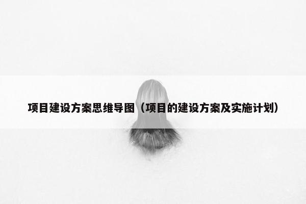 项目建设方案思维导图（项目的建设方案及实施计划）