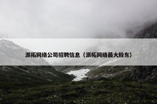 派拓网络公司招聘信息（派拓网络最大股东）