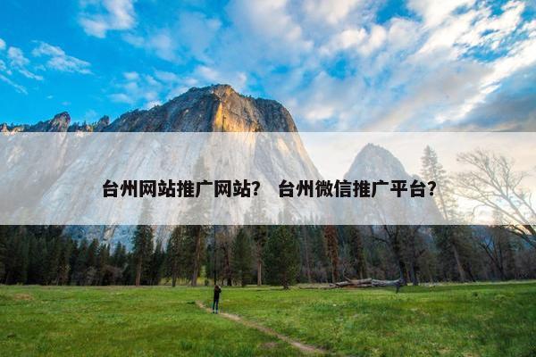 台州网站推广网站？ 台州微信推广平台？