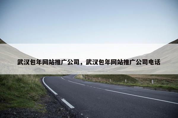 武汉包年网站推广公司，武汉包年网站推广公司电话