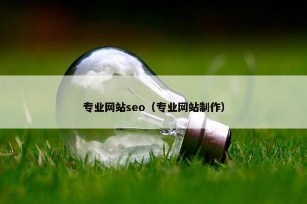 专业网站seo（专业网站制作）