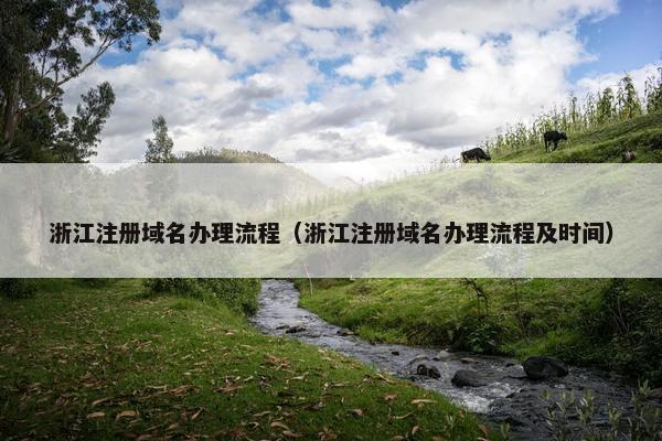 浙江注册域名办理流程（浙江注册域名办理流程及时间）