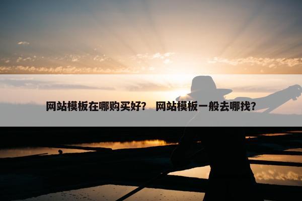 网站模板在哪购买好？ 网站模板一般去哪找？